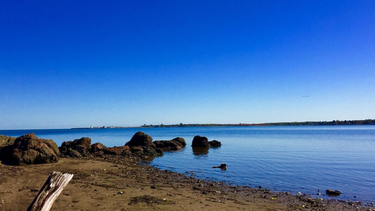 Photo of Others in Shediac