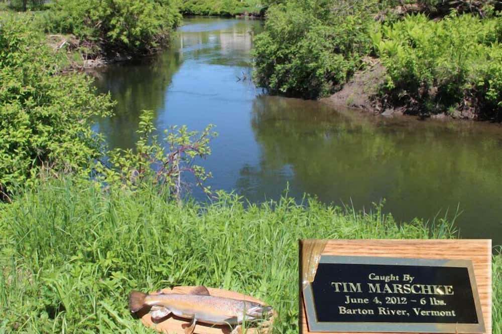 Photo of Others in Barton