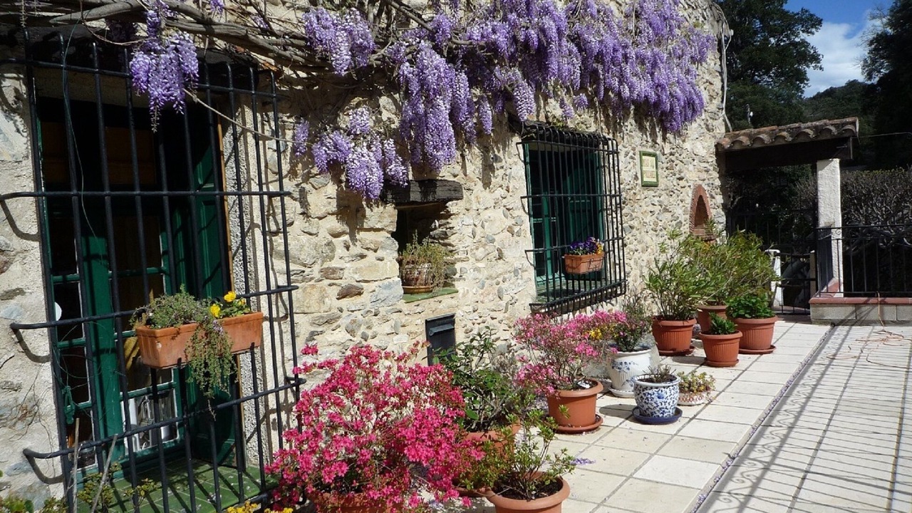 Photo of Outdoor in Reynes