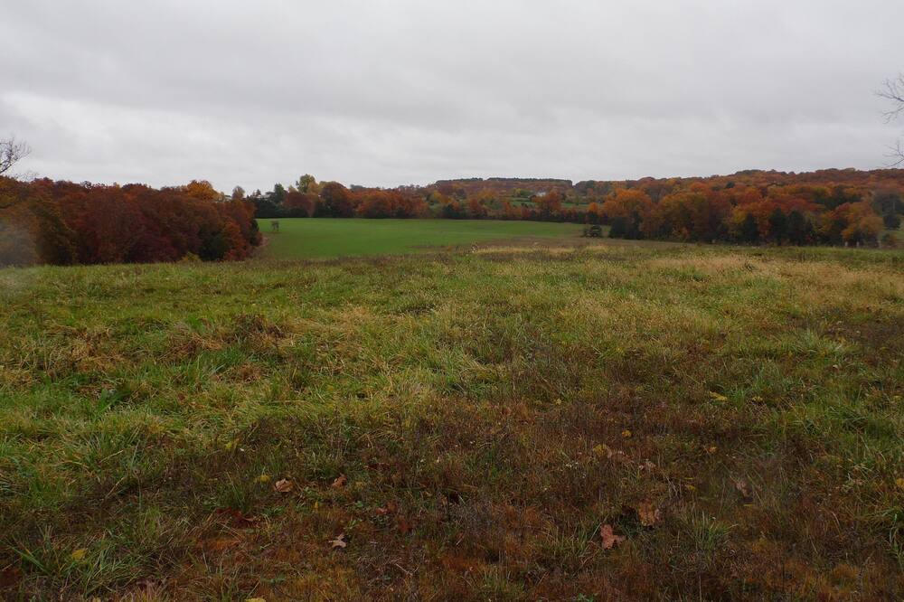 Photo of Others in Sullivan