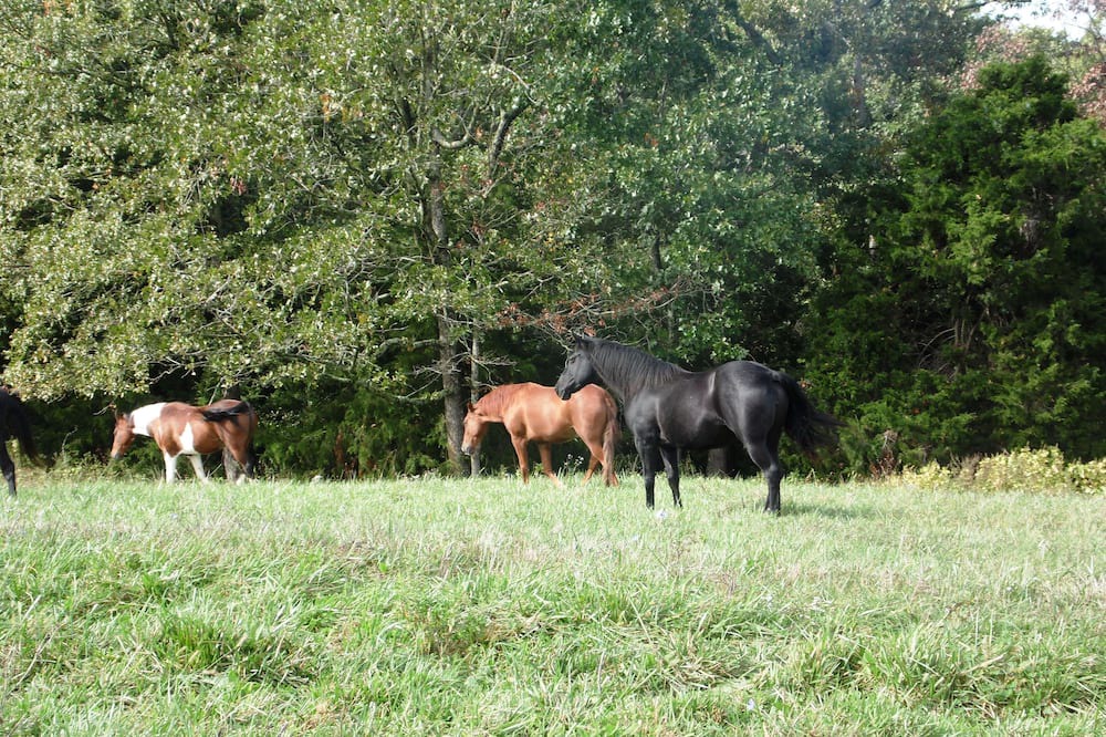 Photo of Others in Sullivan