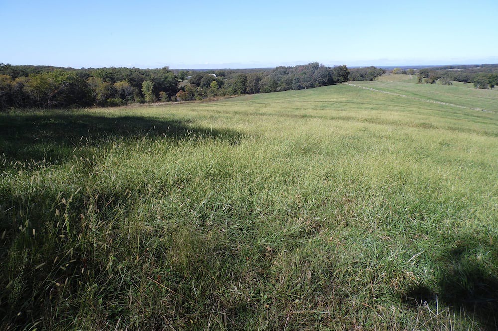 Photo of Outdoor in Sullivan