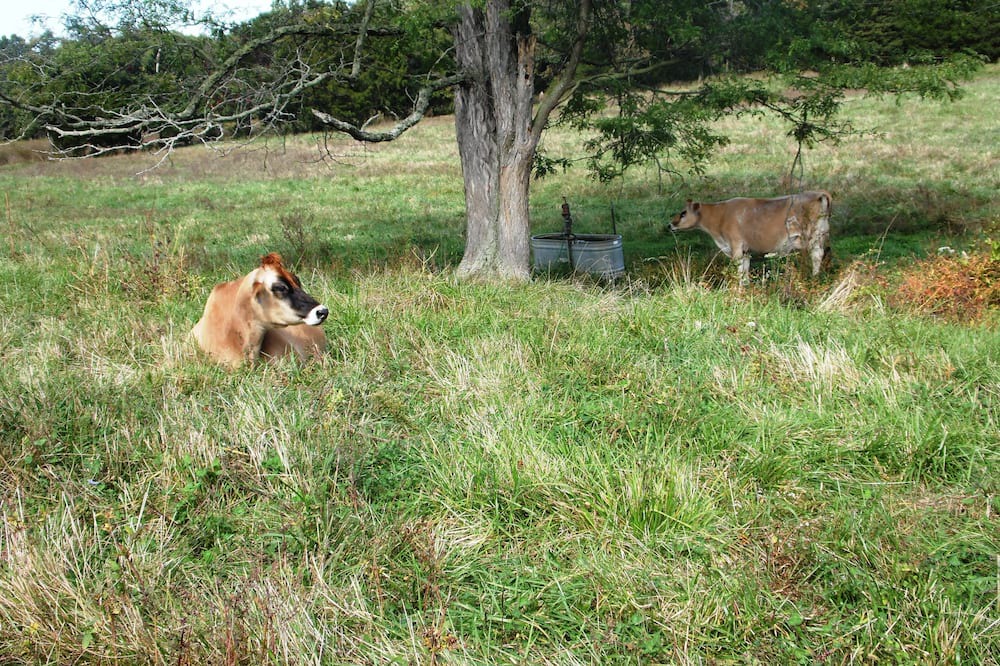 Photo of Others in Sullivan
