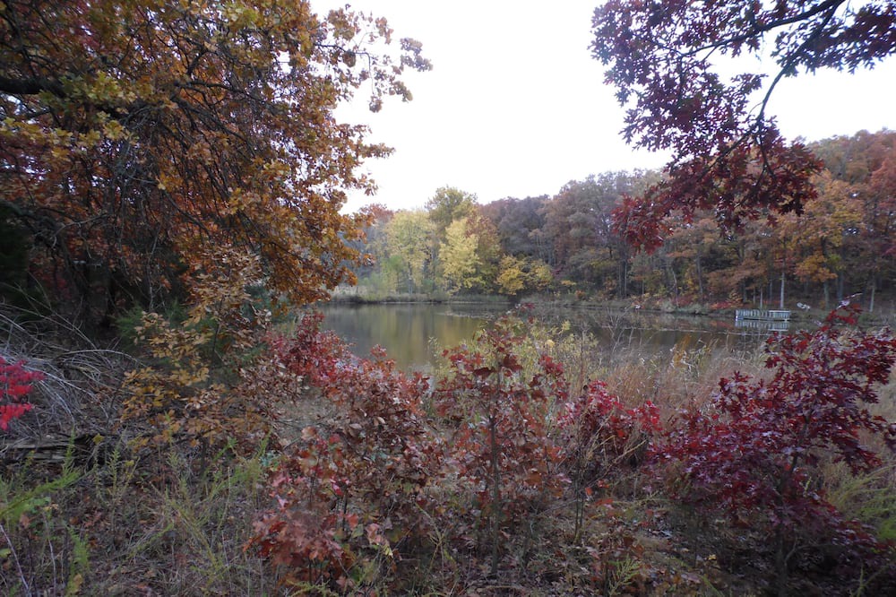 Photo of Others in Sullivan