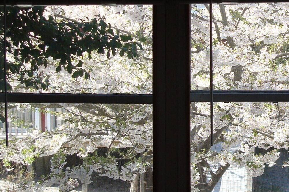 Photo of Others in Ocean Beach