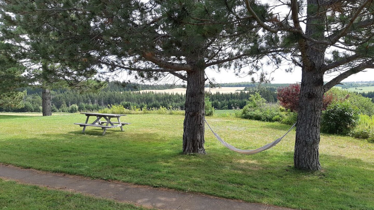 Photo of Outdoor in New London