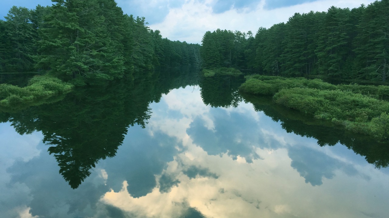 Photo of Outdoor in Pond Eddy