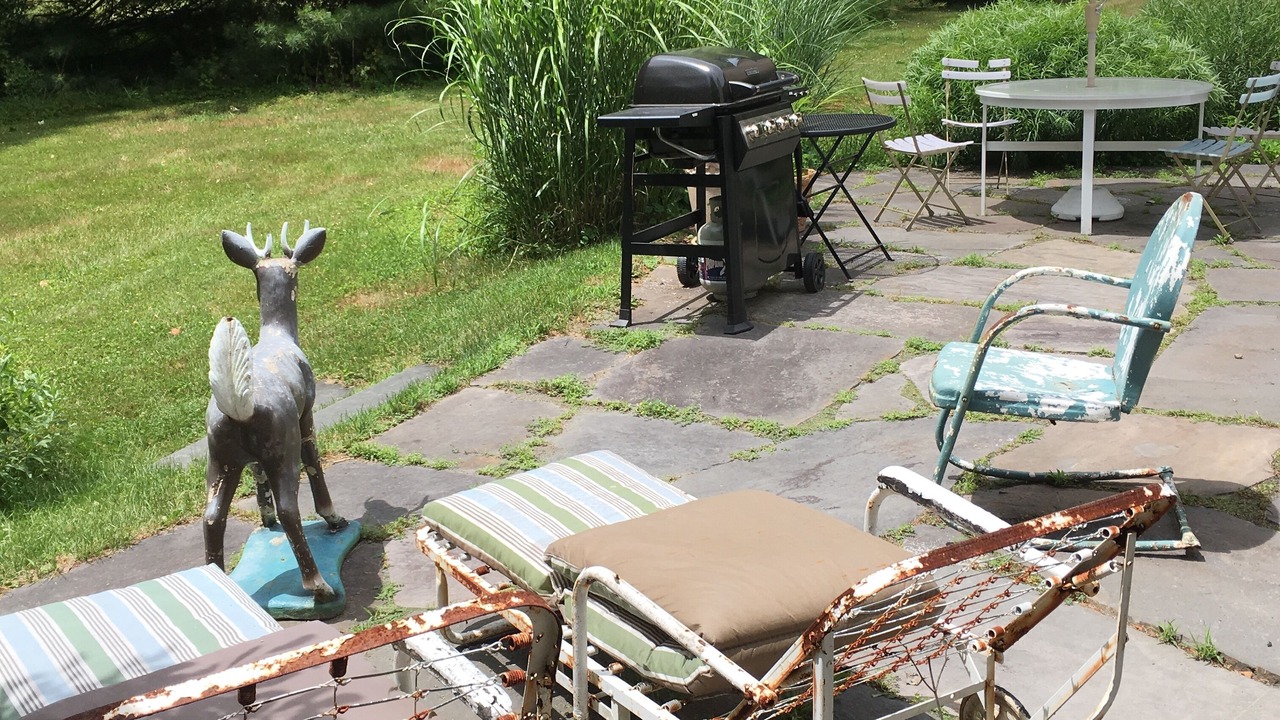 Photo of Outdoor in Pond Eddy