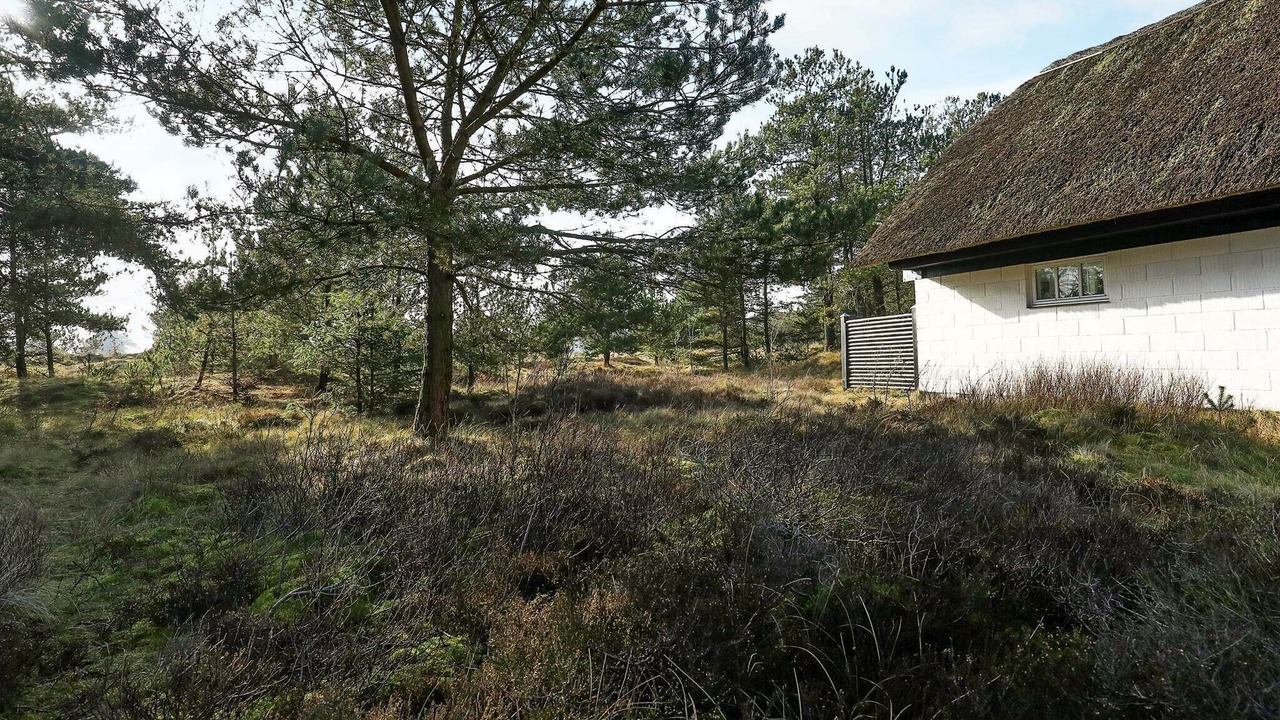 Photo of Outdoor in Mosevra
