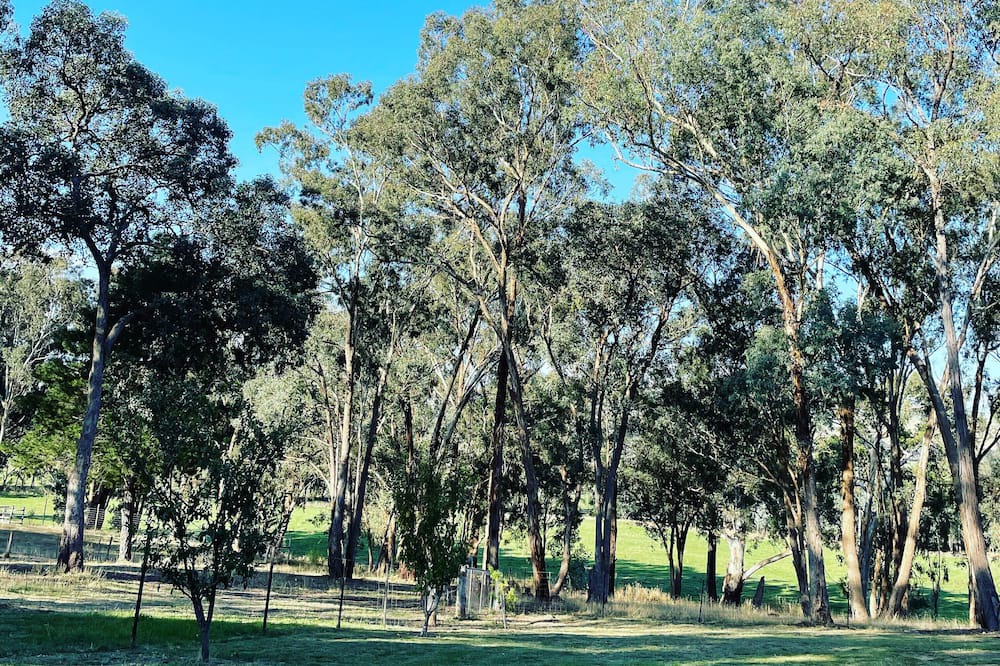 Photo of Others in Gobur