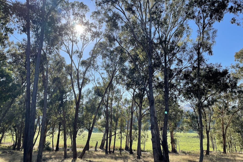 Photo of Outdoor in Gobur