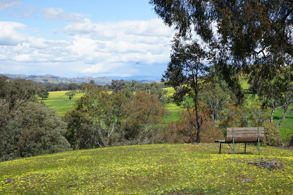 Photo of Outdoor in Gobur