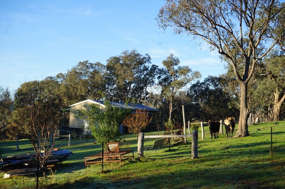 Photo of Outdoor in Gobur