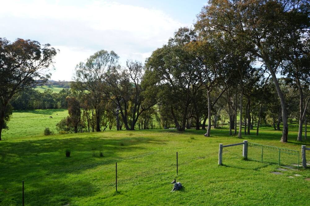 Photo of Outdoor in Gobur