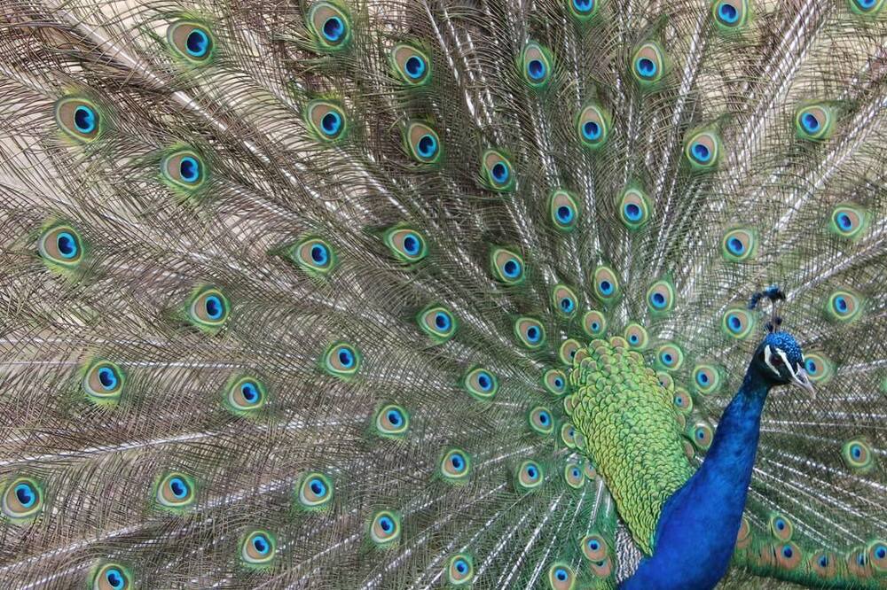 Photo of Others in Chateauvieux