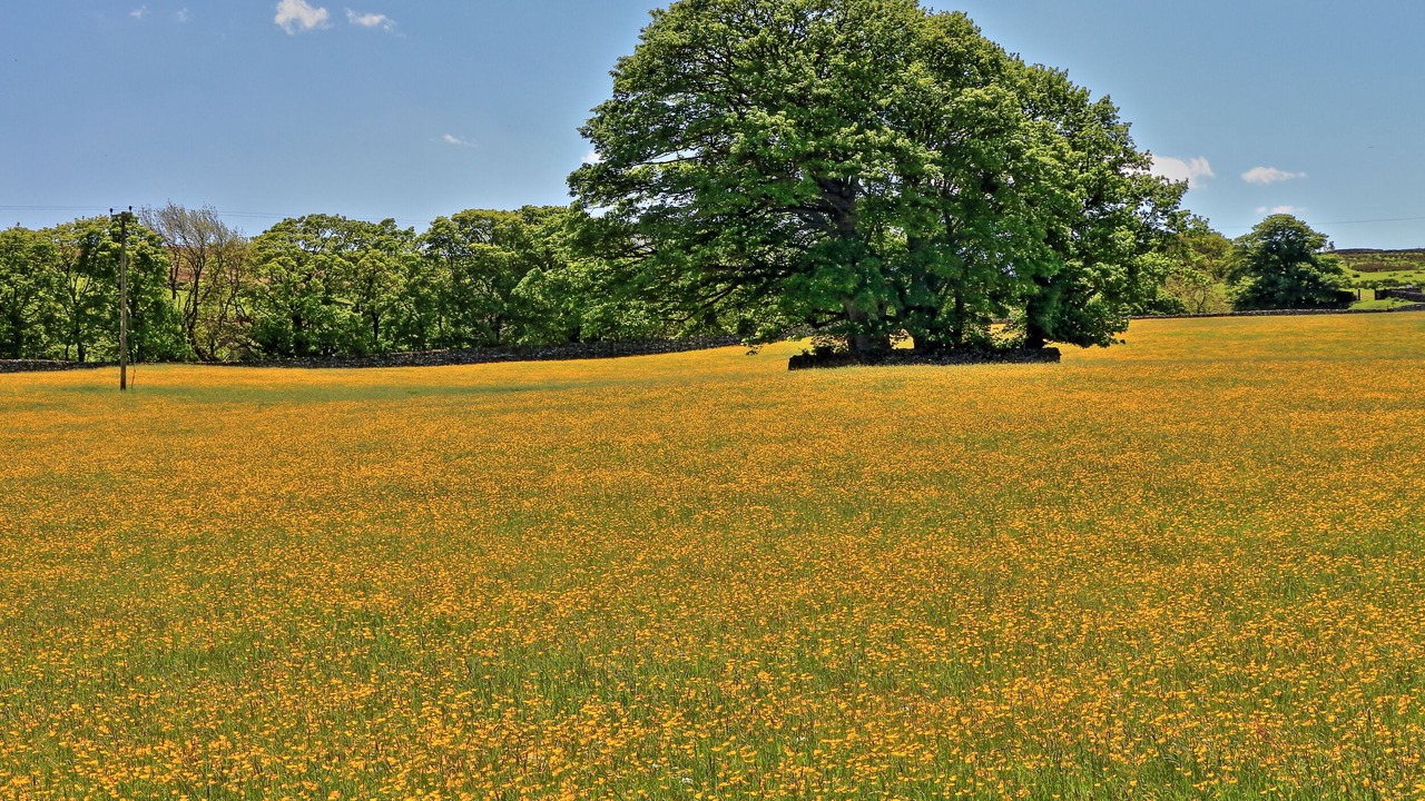 Photo of Outdoor in Barnard Castle