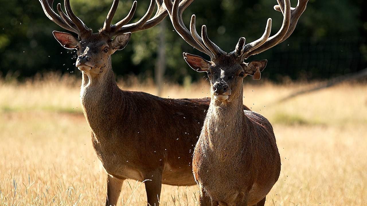 Photo of Outdoor in Tamnies