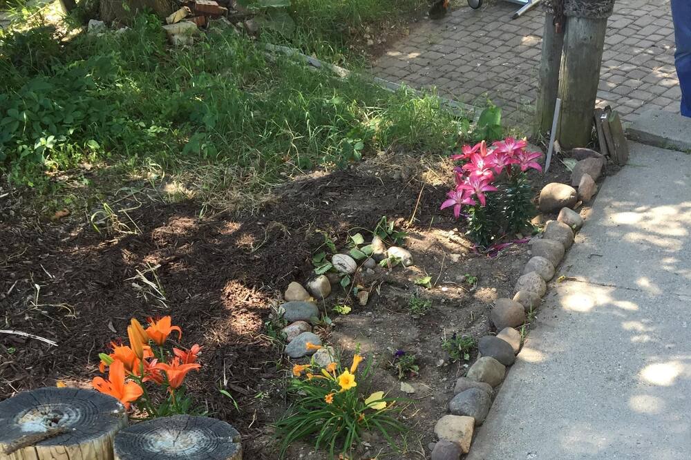 Photo of Outdoor in Ortonville