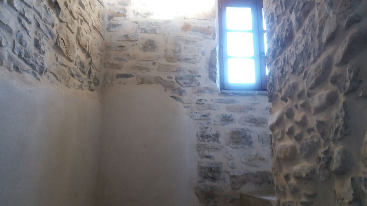 Photo of Others in Chandolas