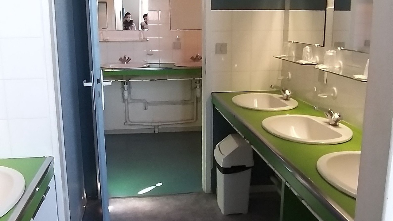 Photo of Bathroom in Hontanx