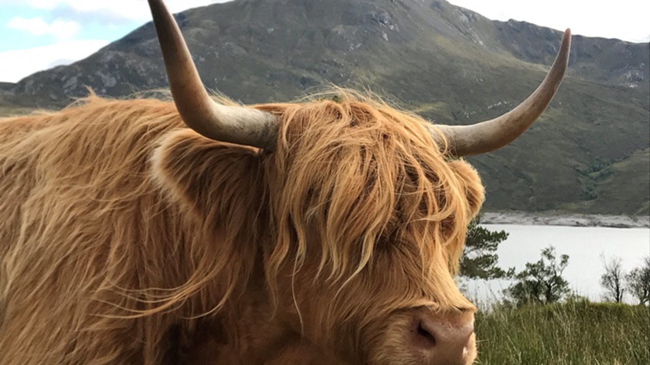 Photo of Others in Invergarry