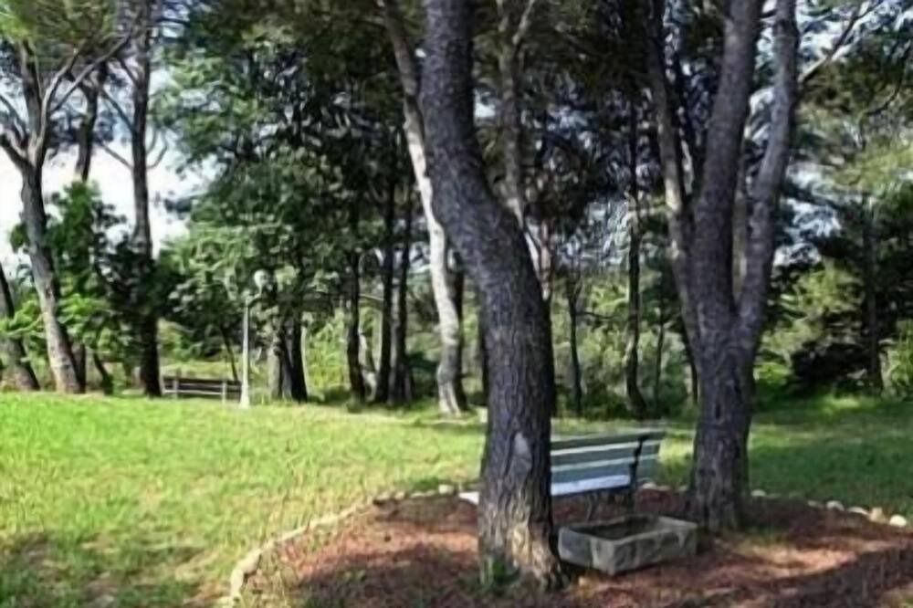 Photo of Outdoor in Saint-Nazaire