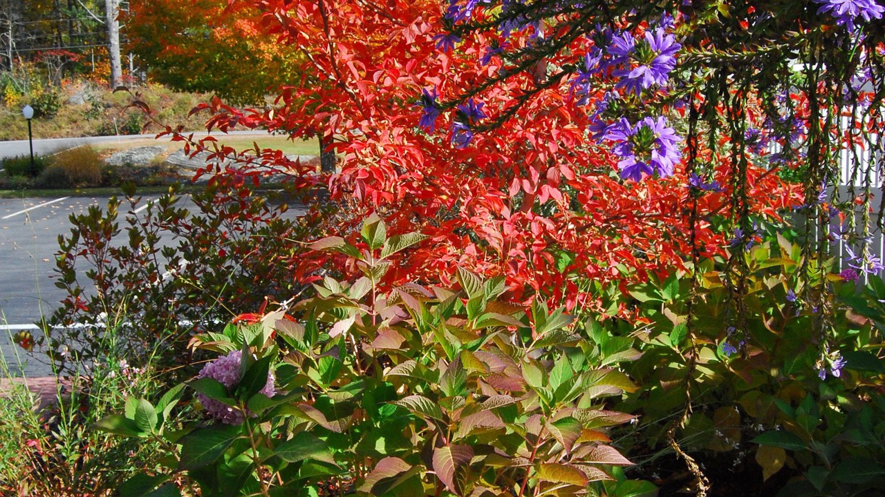 Photo of Outdoor in Edgecomb