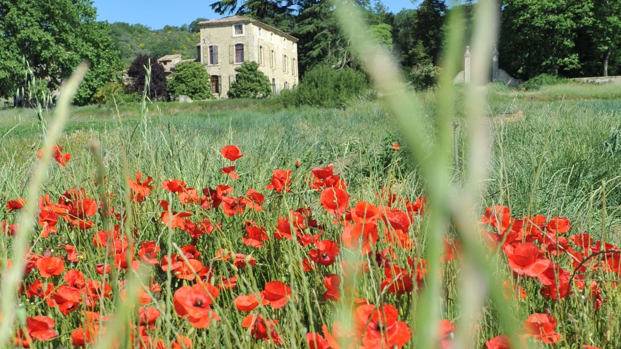 Photo of Outdoor in Manosque