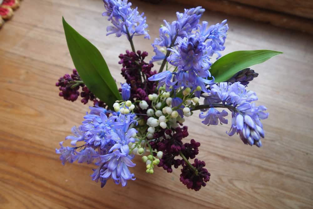 Photo of Others in Bertignat