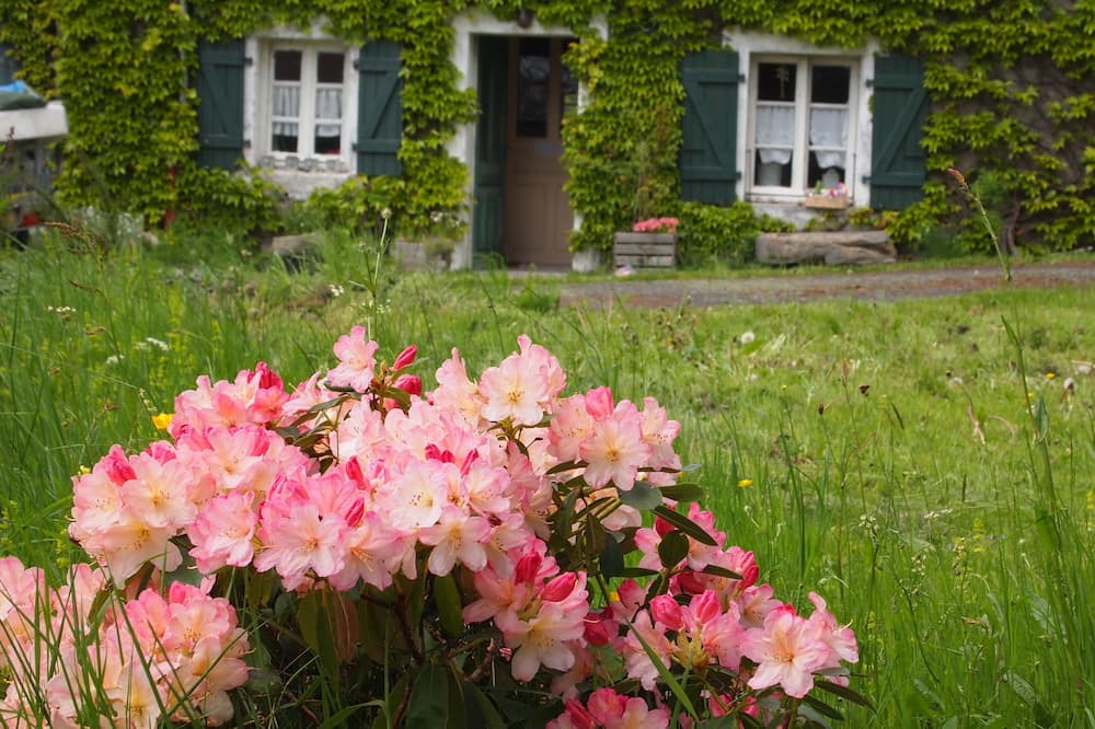 Photo of Outdoor in Bertignat