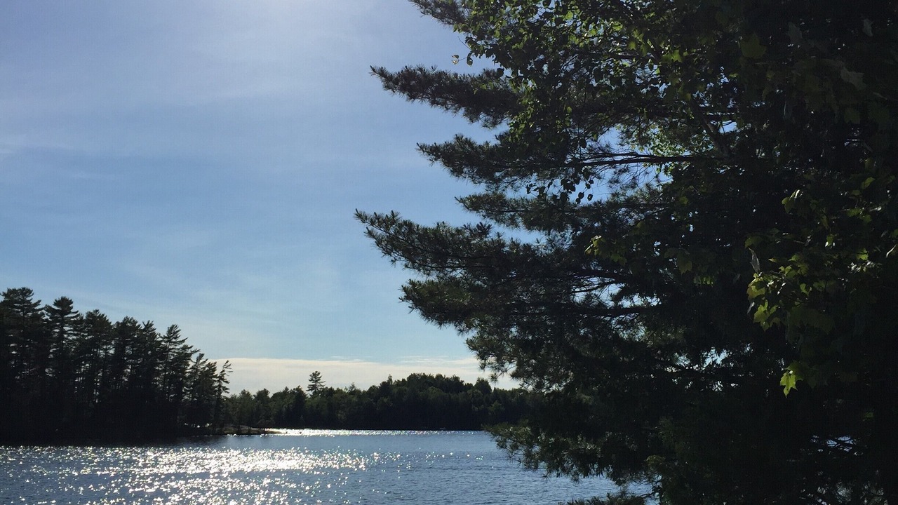 Photo of Others in Algonquin Highlands
