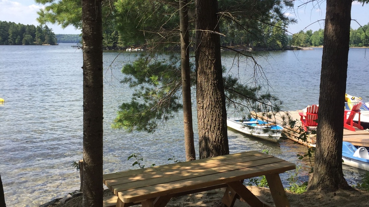 Photo of Outdoor in Algonquin Highlands