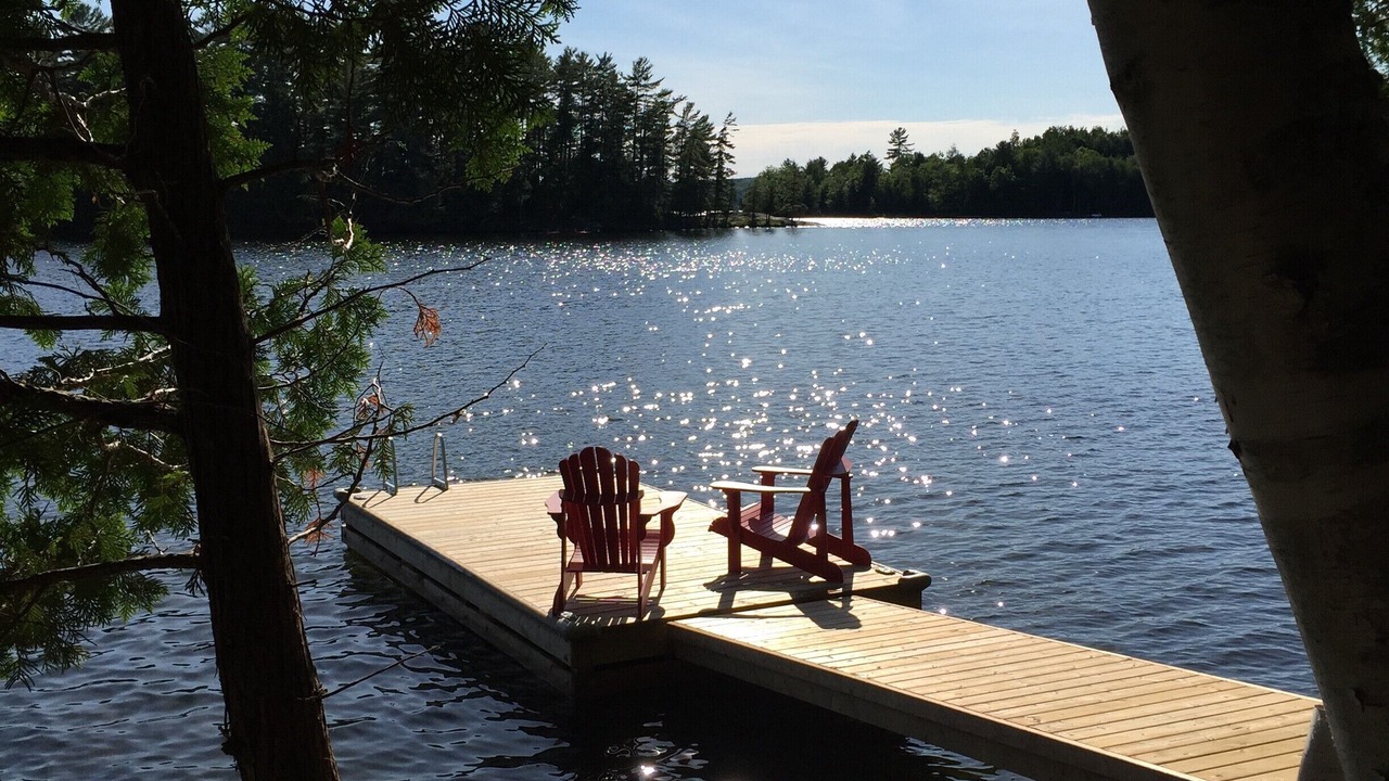 Photo of Outdoor in Algonquin Highlands