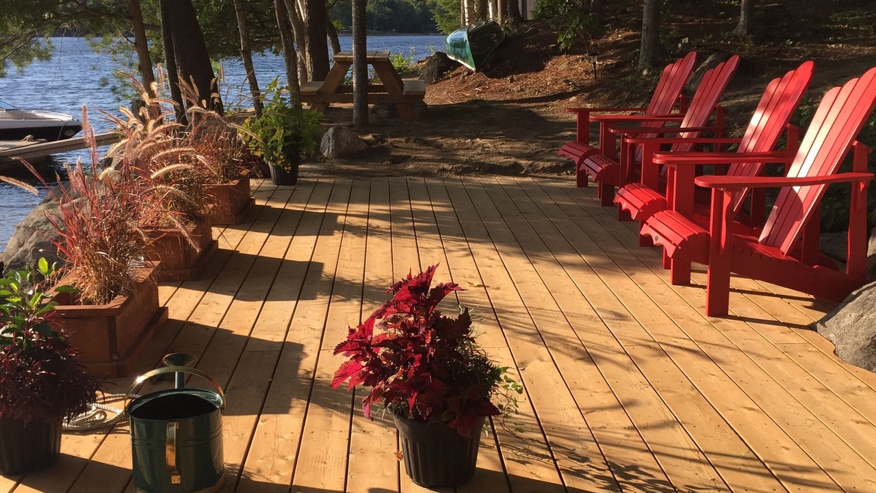 Photo of Outdoor in Algonquin Highlands