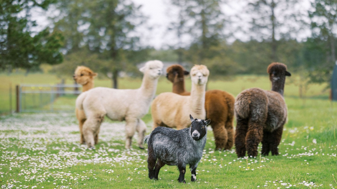 Photo of Outdoor in Friday Harbor