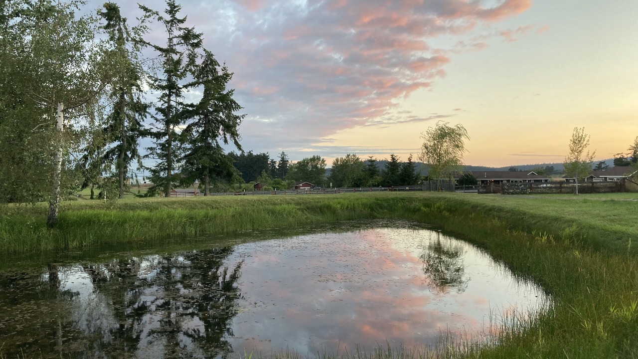 Photo of Outdoor in Friday Harbor