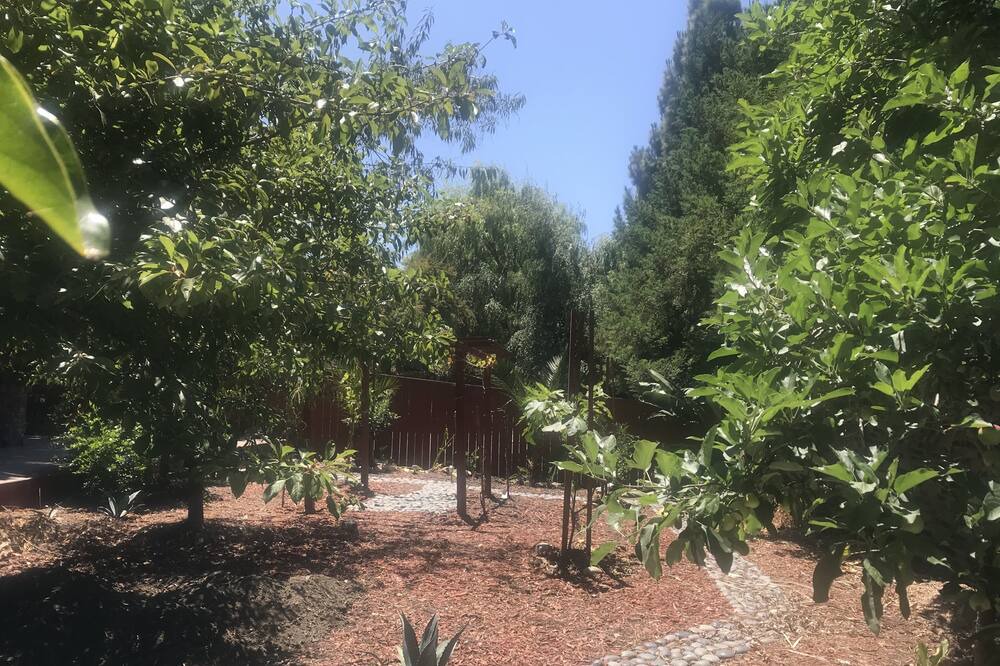Photo of Outdoor in El Sobrante