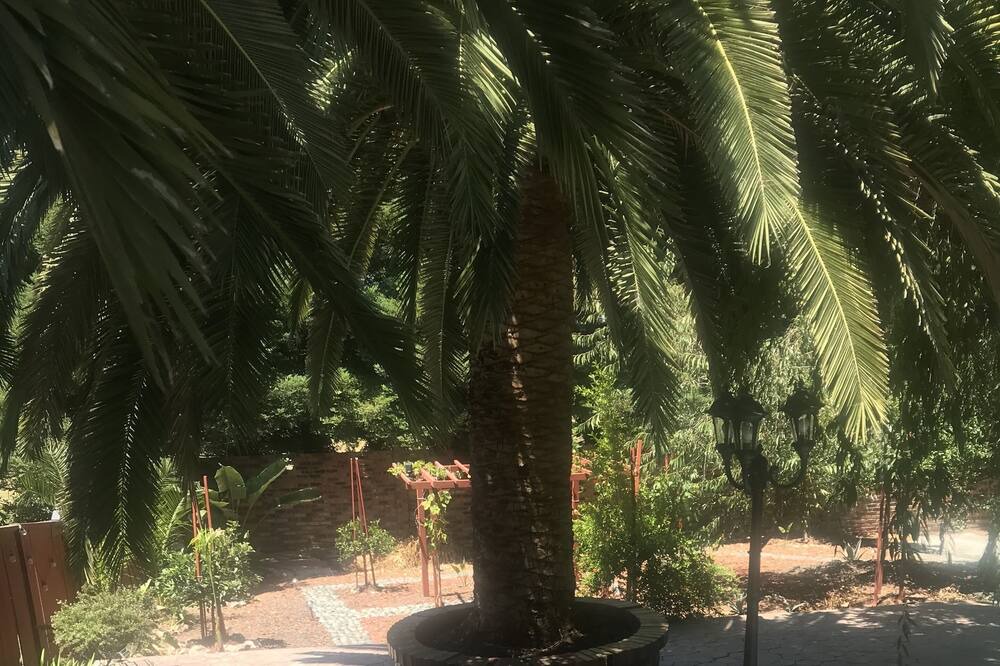 Photo of Outdoor in El Sobrante