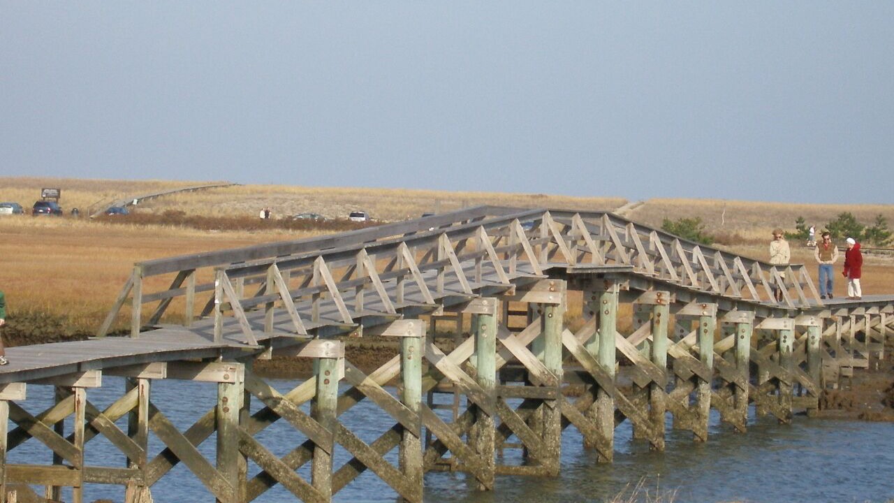 Photo of Others in Sagamore Beach