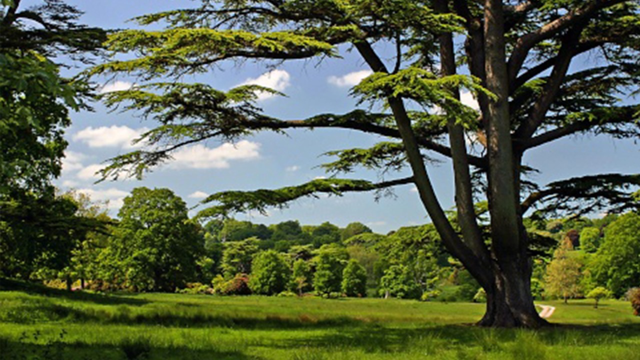 Photo of Others in Evershot