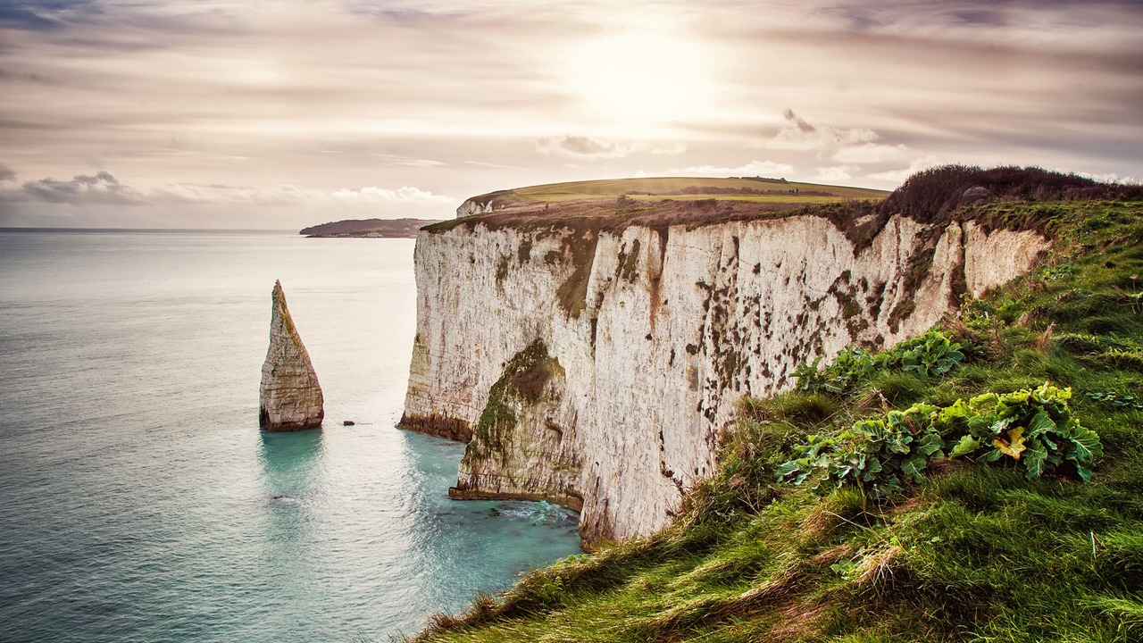 Photo of Others in Evershot