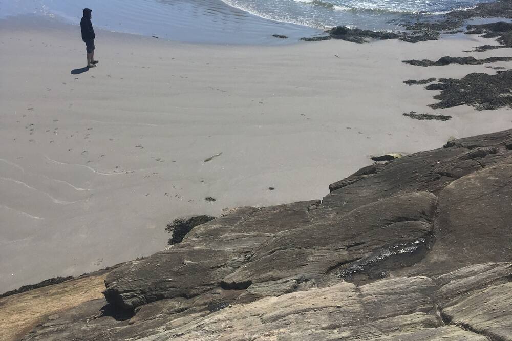 Photo of Others in Lake Charlotte