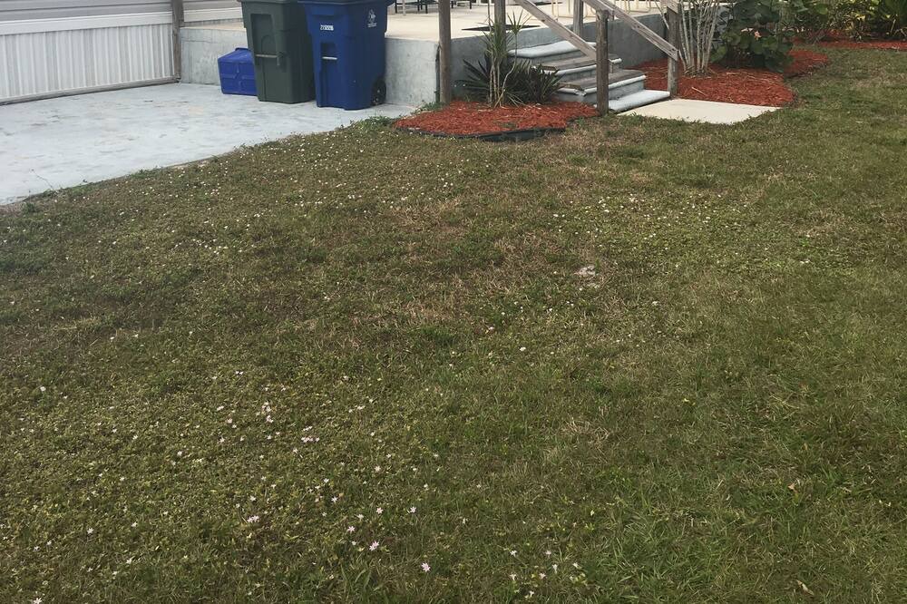 Photo of Others in Pine Island Center