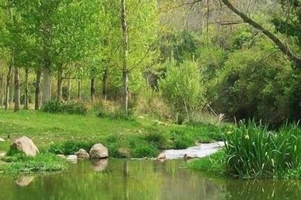 Photo of Outdoor in Jerica