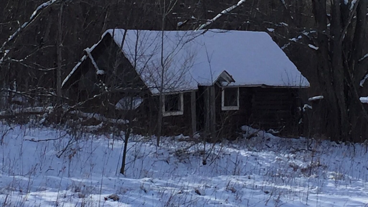 Photo of Outdoor in Mills