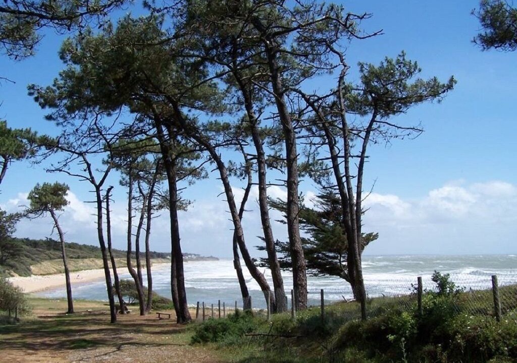 Photo of Others in Jard-sur-Mer