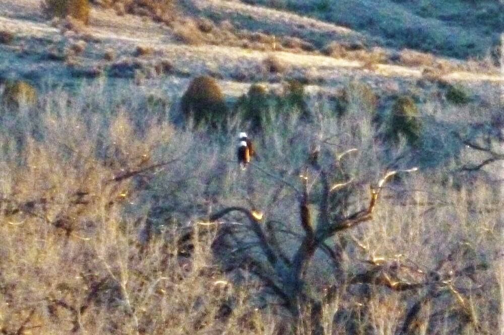 Photo of Others in Navajo Dam