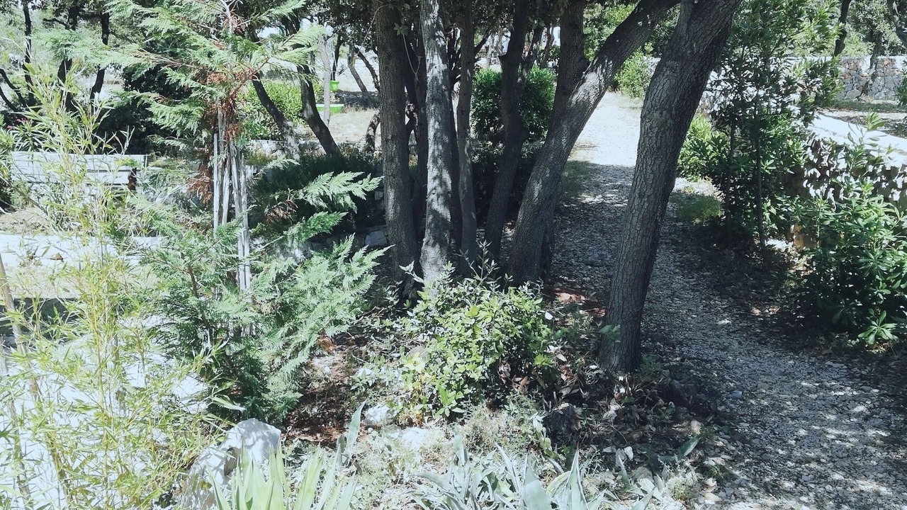 Photo of Outdoor in Mandre
