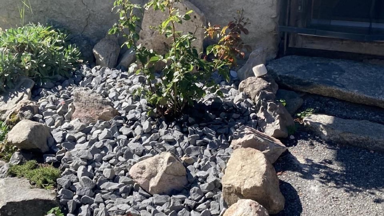 Photo of Outdoor in Orsieres