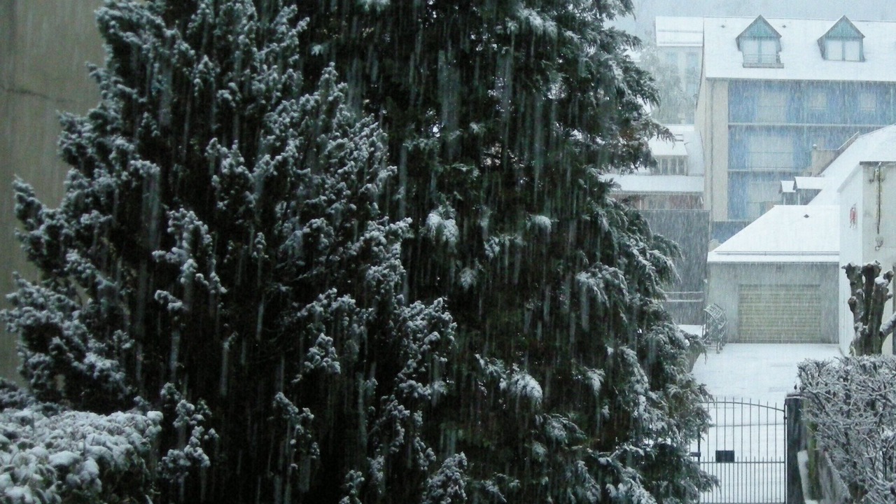 Photo of Outdoor in Cauterets